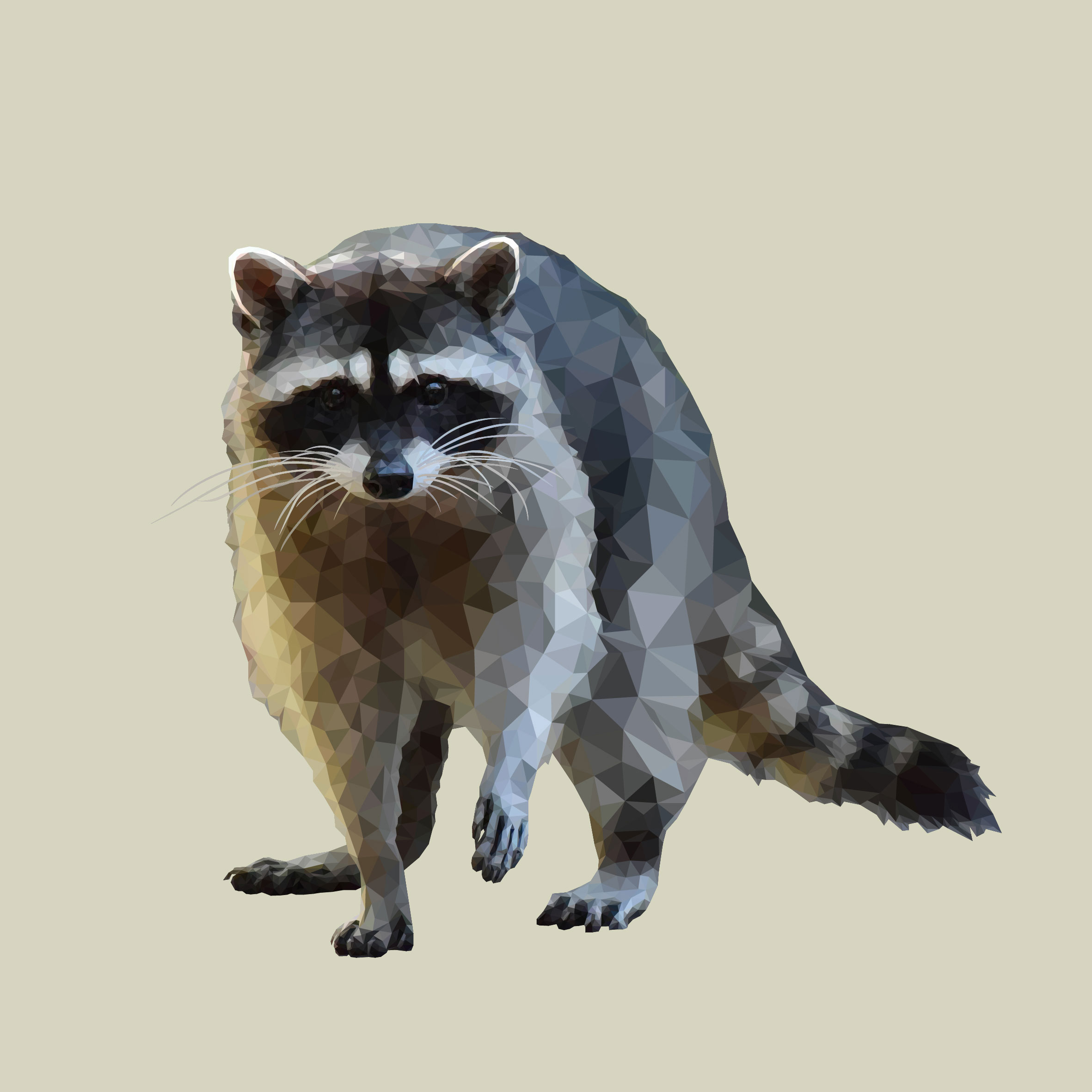 Vaskebjørn som low poly art
